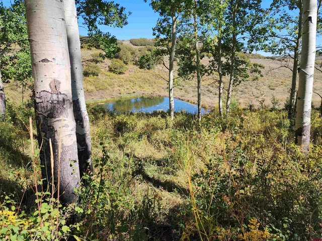 a view of a yard with wooden fence