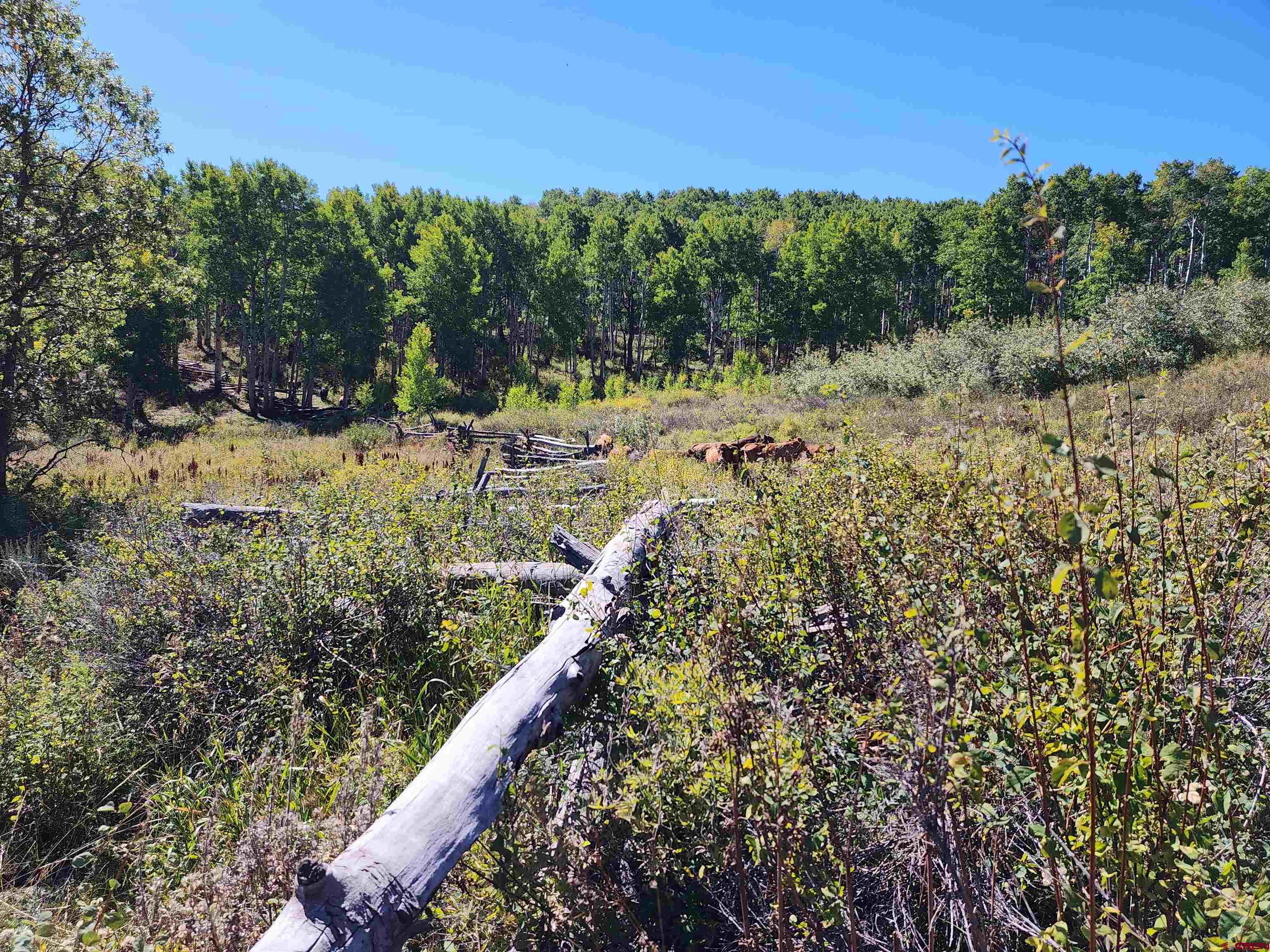 2586 26 1/10 Road Whitewater, CO 81527 - Photo 21 of 45 a view of a yard with wooden fence