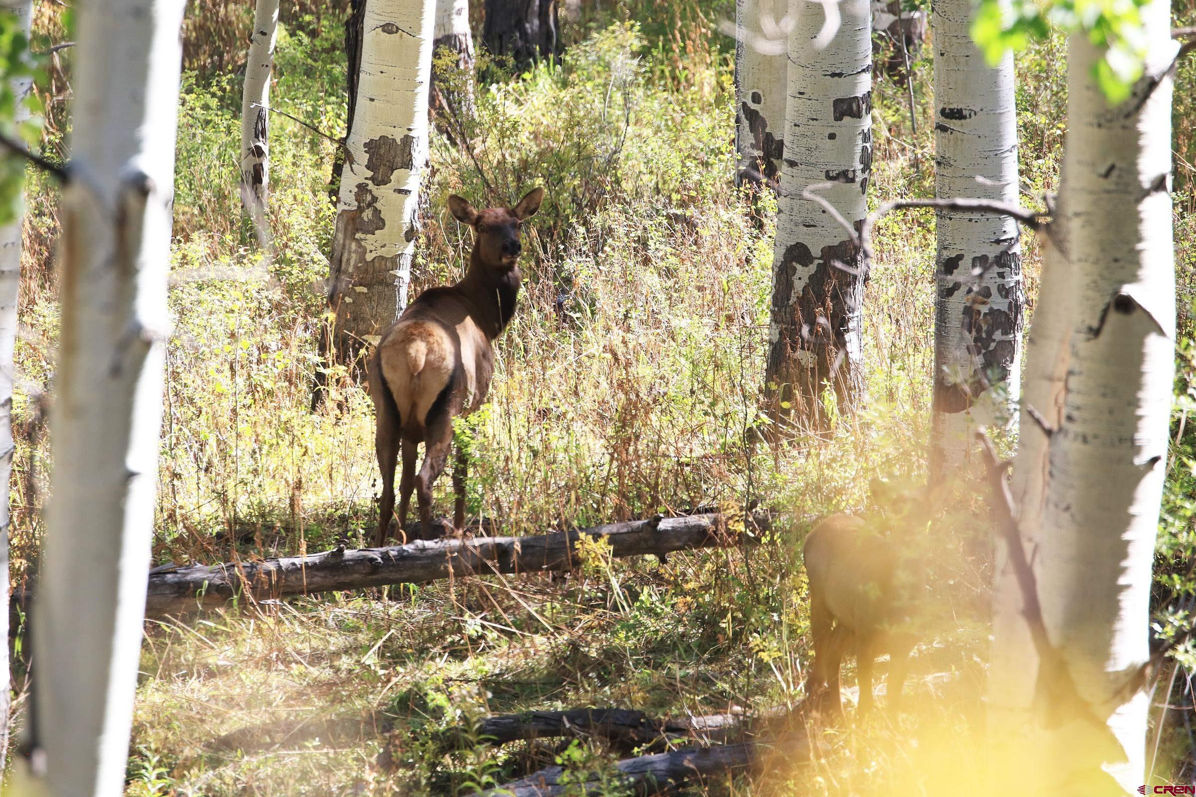 2586 26 1/10 Road Whitewater, CO 81527 - Photo 23 of 45 a view of a pathway of a building