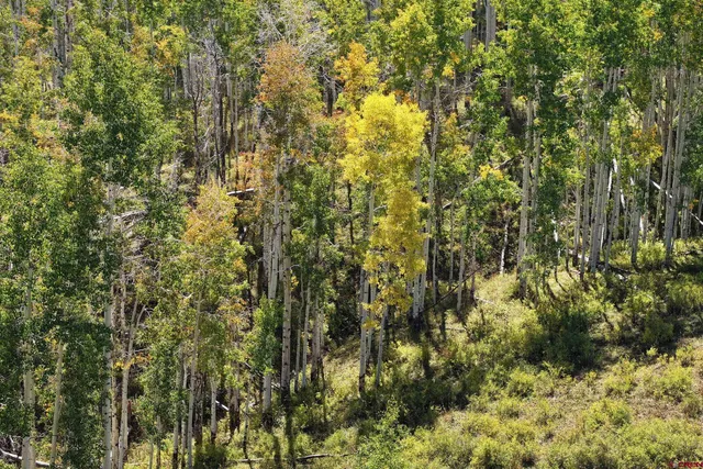 a view of house with backyard