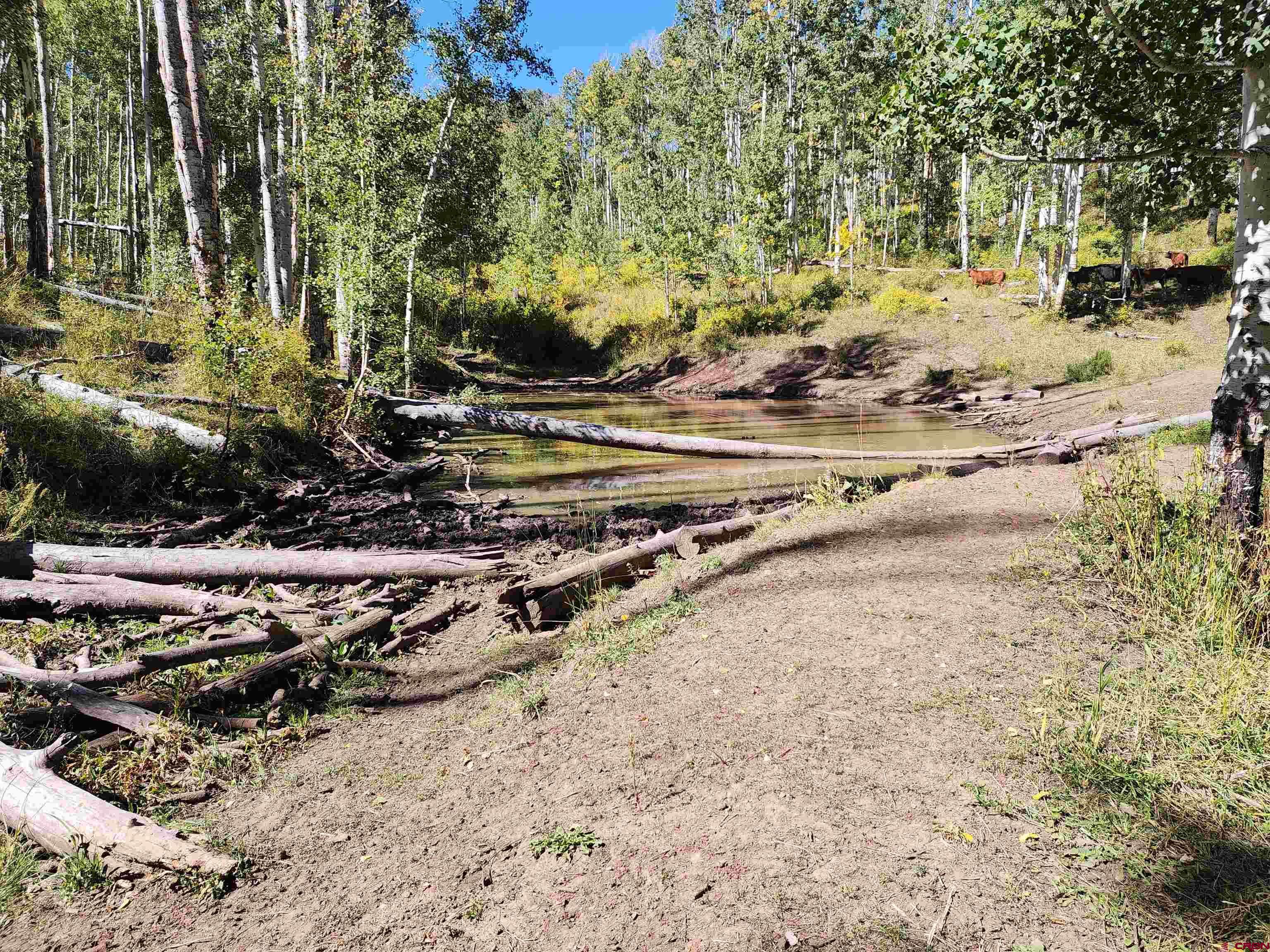 2586 26 1/10 Road Whitewater, CO 81527 - Photo 38 of 45 a view of a yard with wooden fence