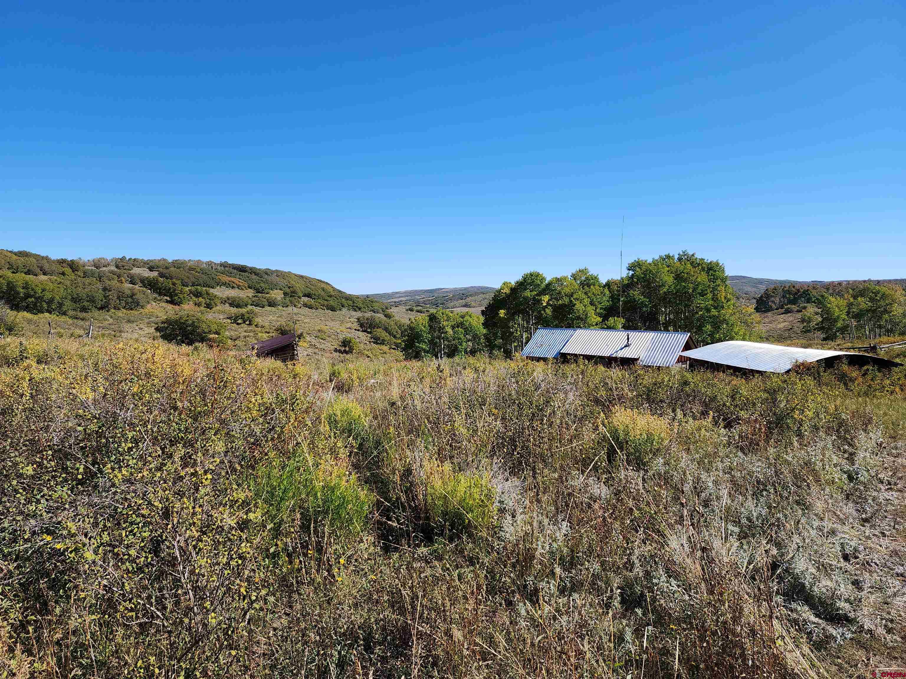 2586 26 1/10 Road Whitewater, CO 81527 - Photo 6 of 45 a view of a field of grass and trees
