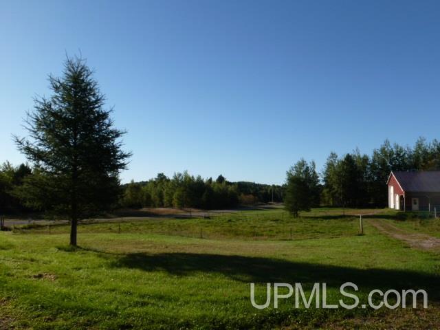 436 Town Hall Road Skandia, MI 49885 - Photo 25 of 32