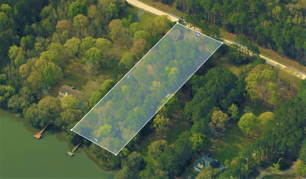 15 Lord Proprietors Road Meggett, SC 29449 - Photo 7 of 7 birdseye