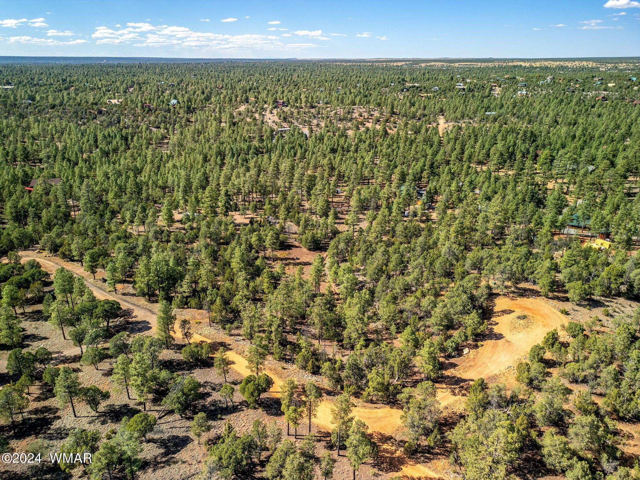 2306 Thunderbird Way Overgaard, AZ 85933 - Photo 1 of 22 a view of a green field with lots of bushes