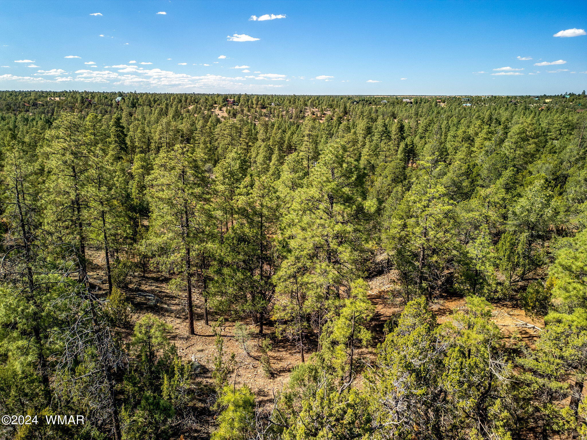 2306 Thunderbird Way Overgaard, AZ 85933 - Photo 11 of 22 a view of an ocean from a yard