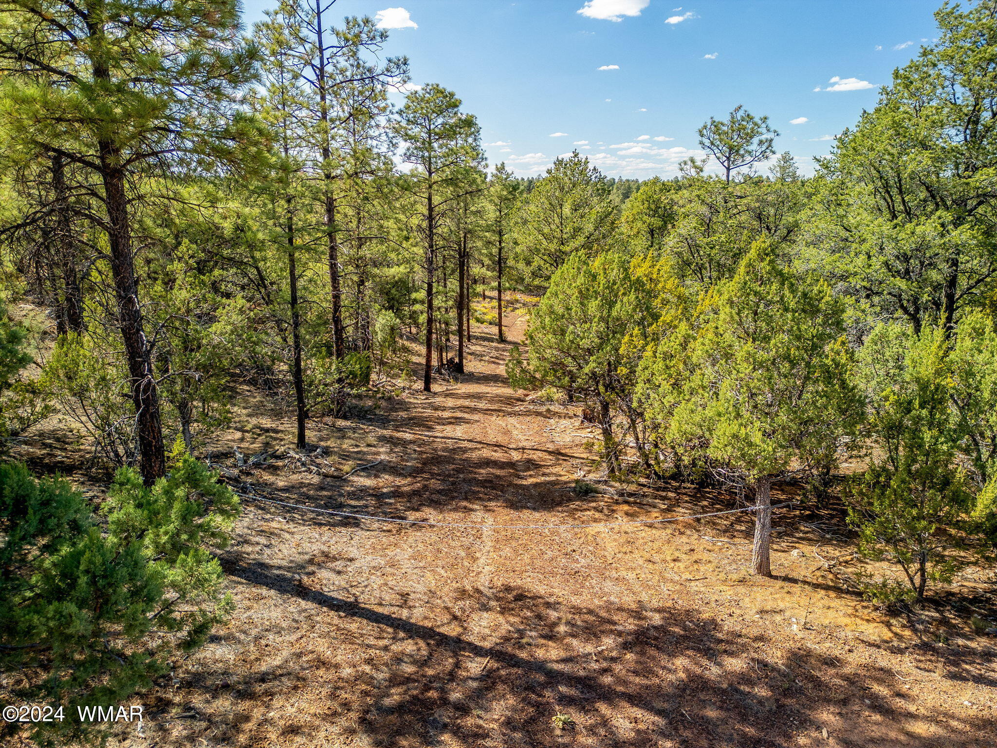 2306 Thunderbird Way Overgaard, AZ 85933 - Photo 12 of 22 a view of outdoor space with trees