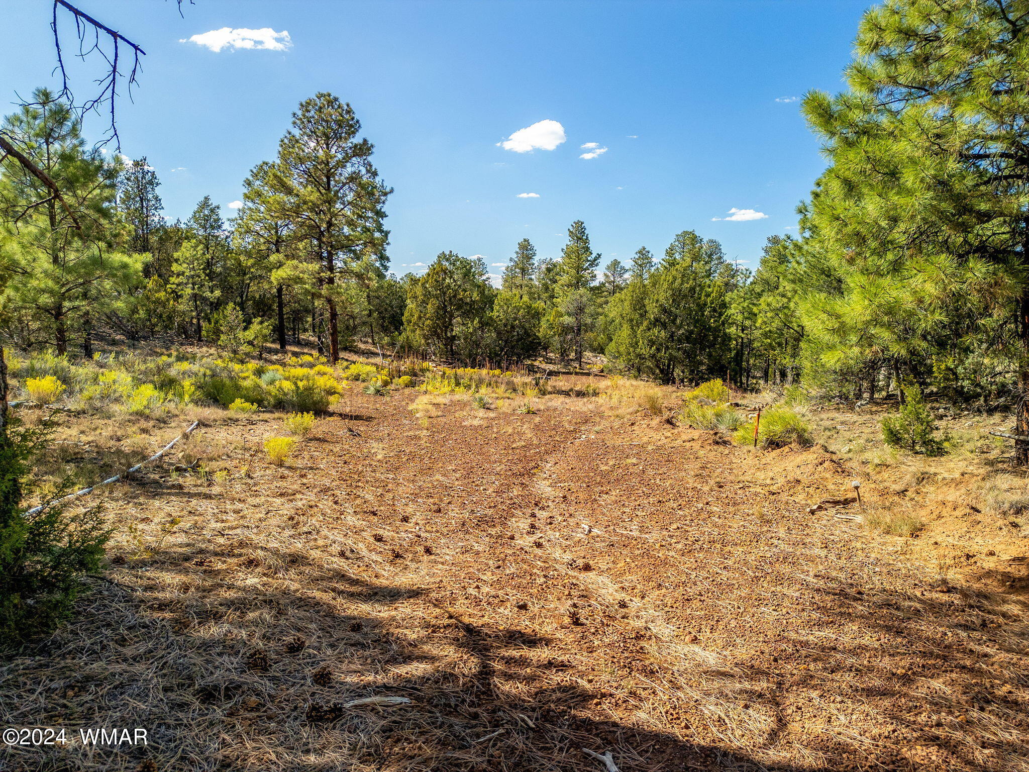 2306 Thunderbird Way Overgaard, AZ 85933 - Photo 13 of 22 a view of ocean view with trees