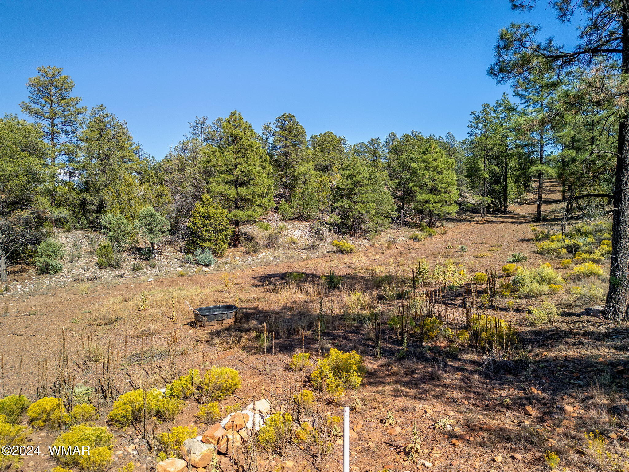 2306 Thunderbird Way Overgaard, AZ 85933 - Photo 15 of 22 a view of a yard with wooden fence