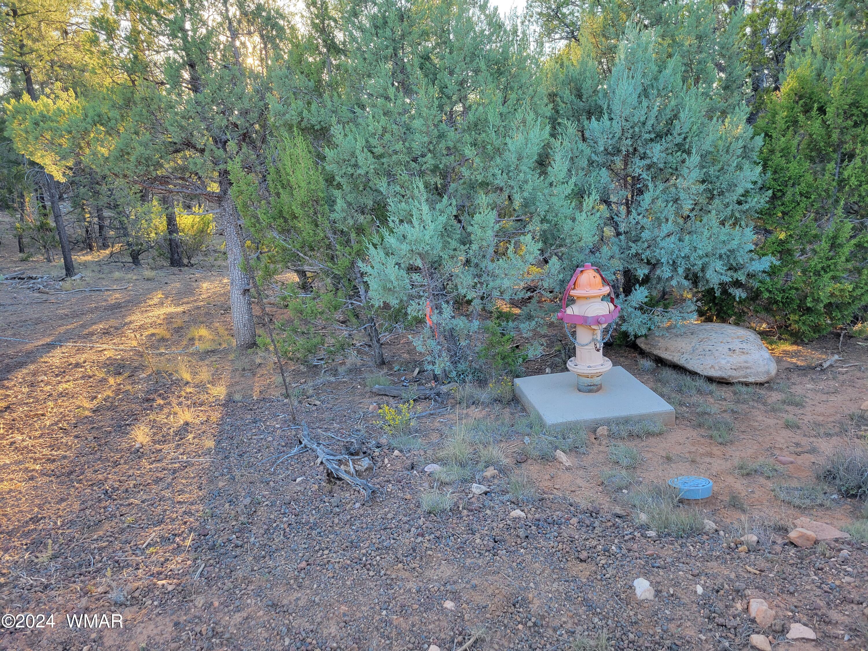 2306 Thunderbird Way Overgaard, AZ 85933 - Photo 16 of 22 a view of a outdoor space
