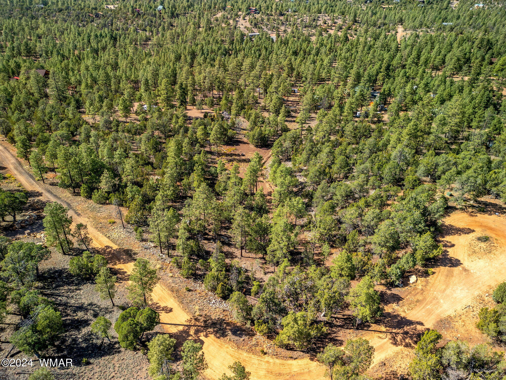 2306 Thunderbird Way Overgaard, AZ 85933 - Photo 7 of 22 a view of a yard