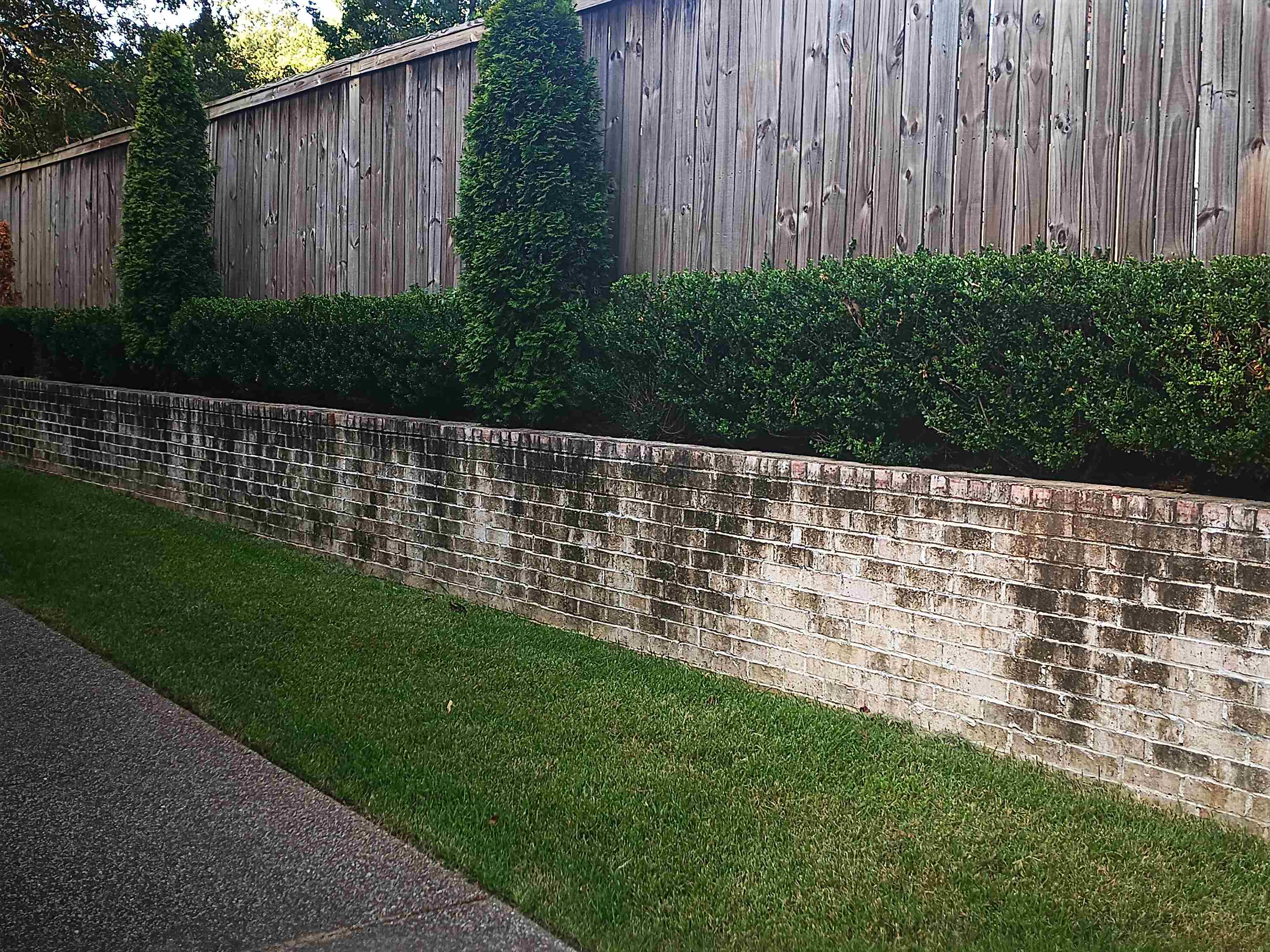 5690 Walnut Grove Road Memphis, TN 38120 - Photo 31 of 40 a view of garden