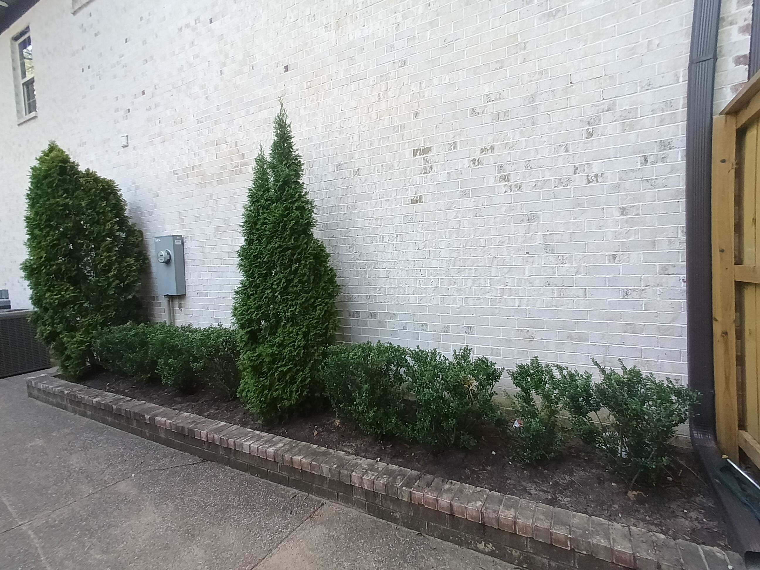 5690 Walnut Grove Road Memphis, TN 38120 - Photo 5 of 40 a backyard of a house with plants and trees