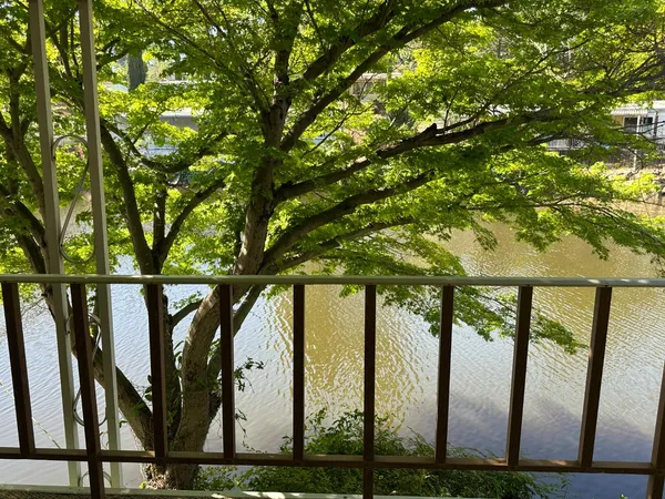 $225,000 | 1860 Sunset Drive, Newcastle, CA 95658