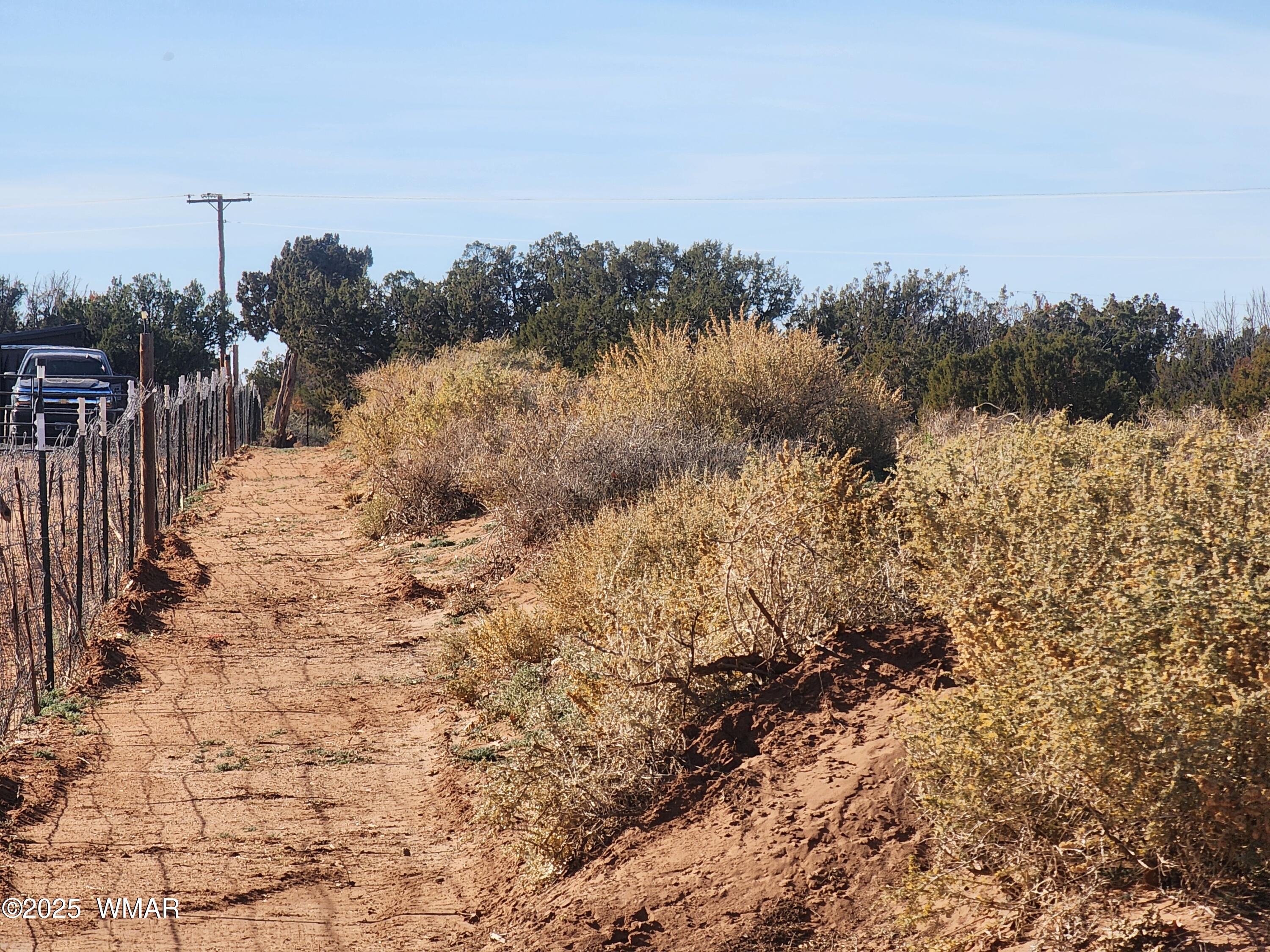 4726 Hay Hollow Road Snowflake, AZ 85937 - Photo 9 of 14 a view of a yard with a house