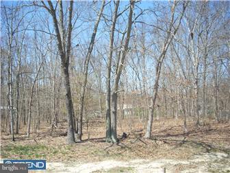113 Berti Road Williamstown, NJ 08094 - Photo 4 of 6 Gallery Image 4