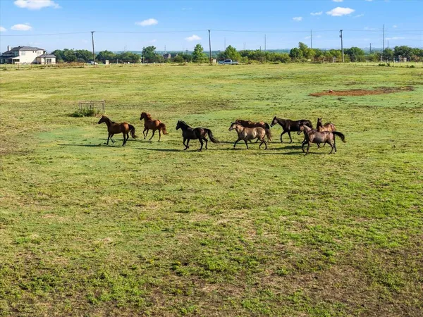 $11,245,000 | 8523 Highway 276, Royse City, TX 75189