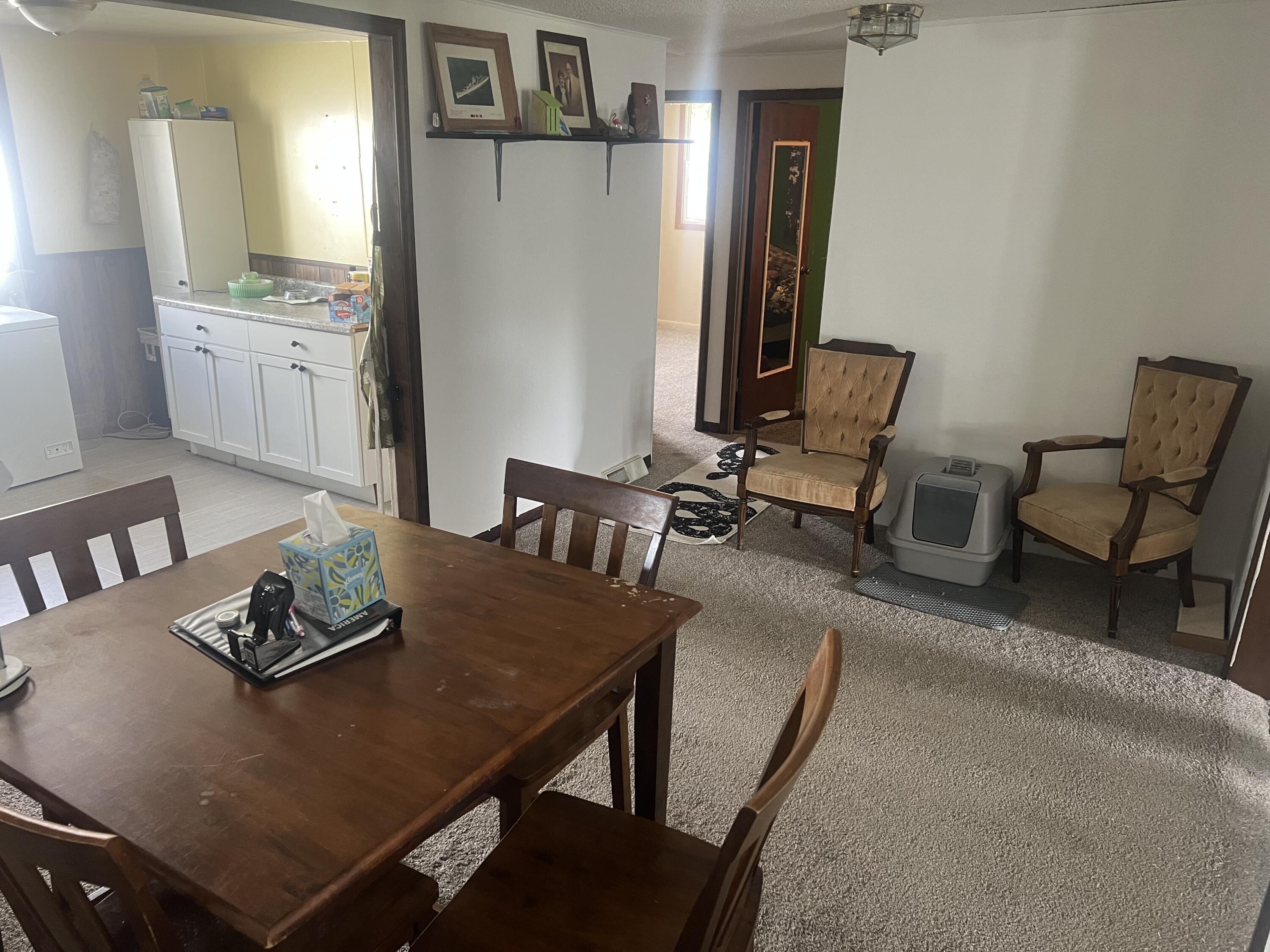 228 West Forest Street Edmore, MI 48829 - Photo 6 of 14 IMG_8804