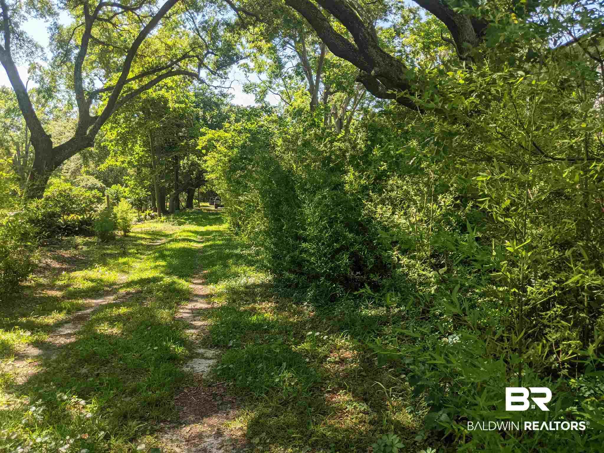 4519 Park Road Mobile, AL 36605 - Photo 10 of 15