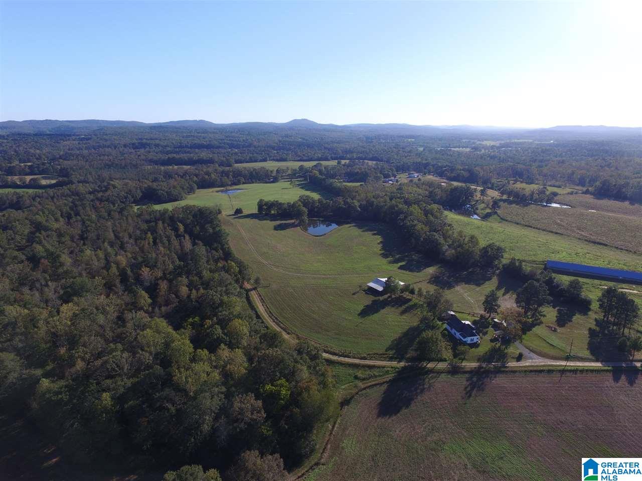 567 Dial Road Blountsville, AL 35031 - Photo 25 of 46