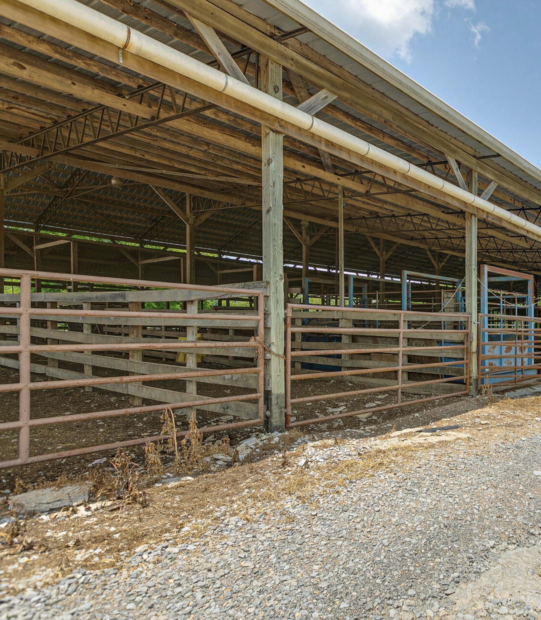 3008 Luke Moser Road Columbia, TN 38401 - Photo 24 of 44