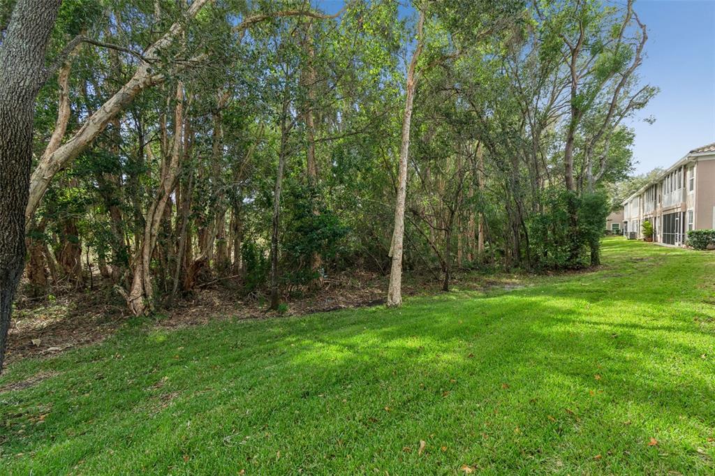 822 Lantern Way, Unit 102 Clearwater, FL 33765 - Photo 55 of 84