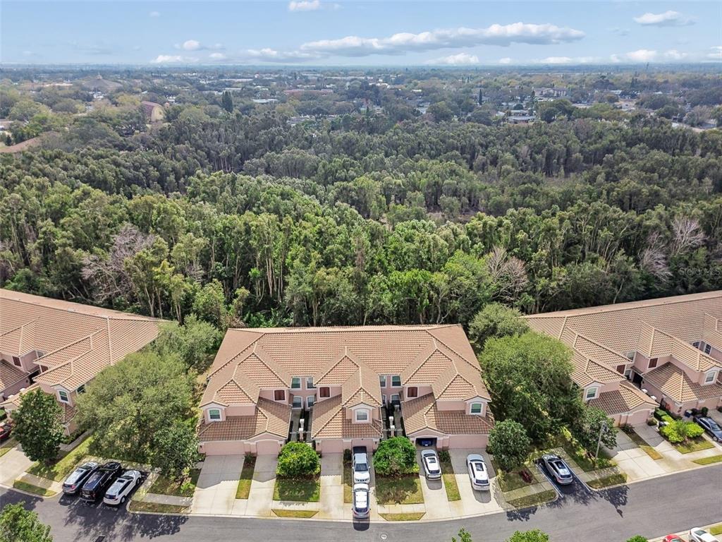 822 Lantern Way, Unit 102 Clearwater, FL 33765 - Photo 71 of 84