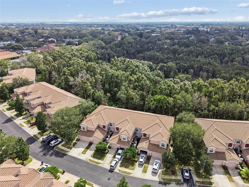 822 Lantern Way, Unit 102 Clearwater, FL 33765 - Photo 72 of 84