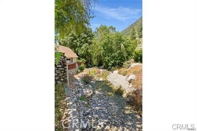 8 Oak Drive Mount Baldy, CA 91759 - Photo 8 of 26 a picture of a small yard