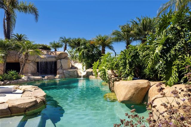 a view of a backyard with plants and palm tree