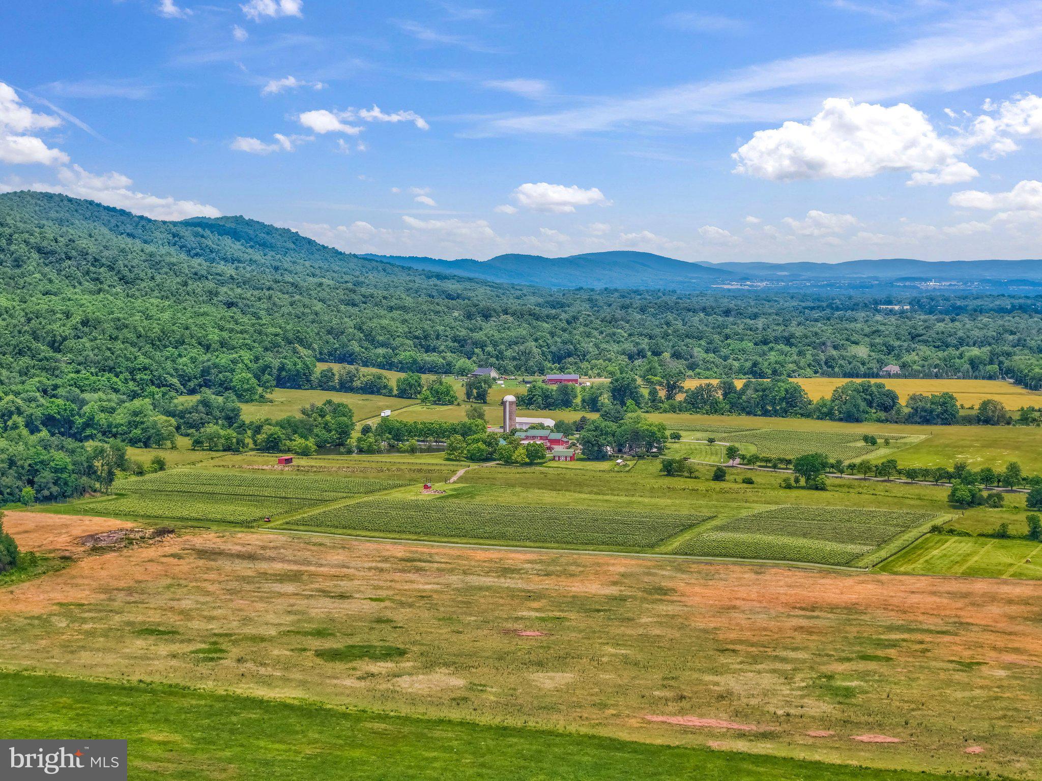 15002 Mountain Road Purcellville, VA 20132 - Photo 58 of 60 And half a mile from Doukenie Winery