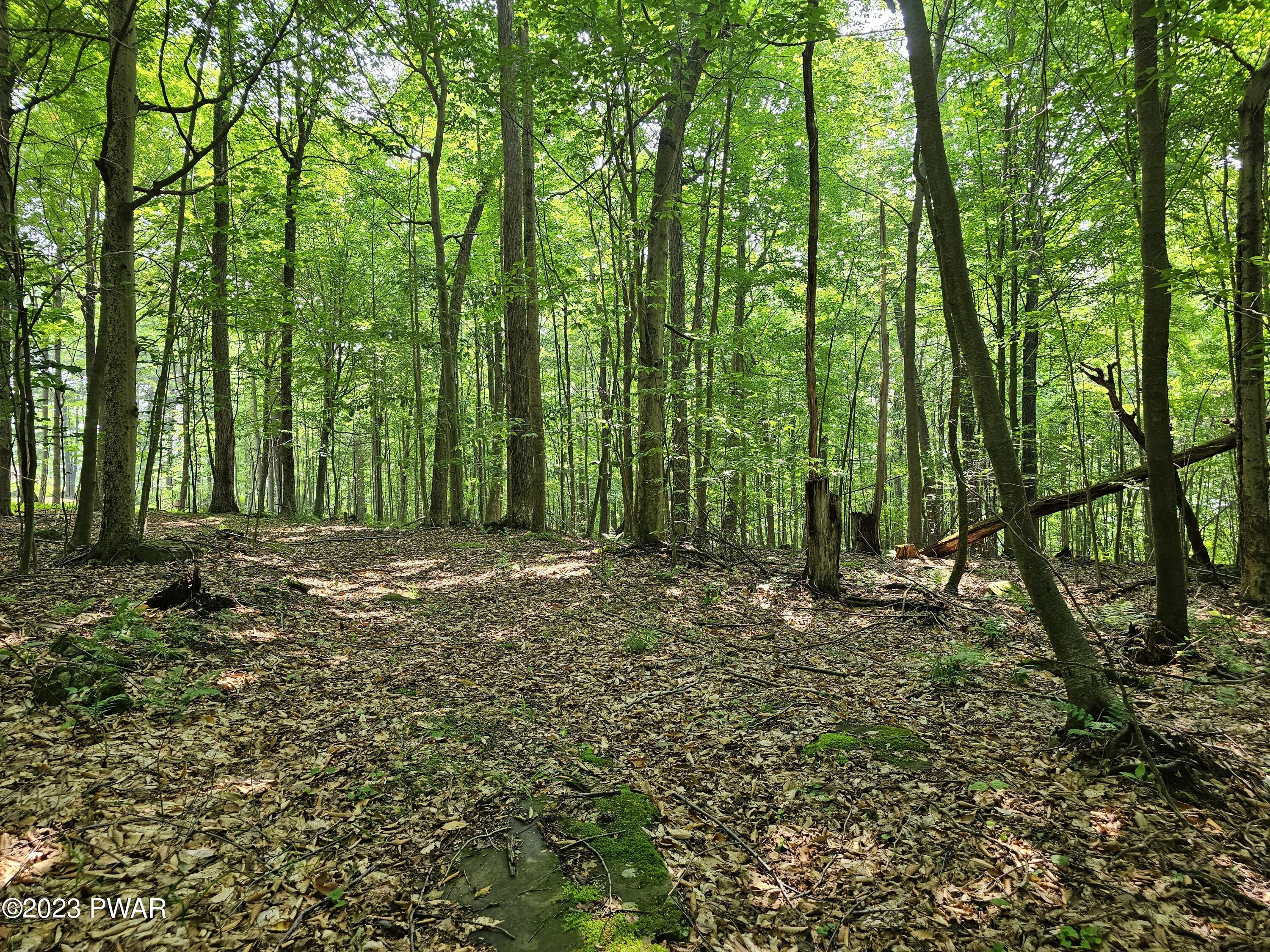Lot 61 Rock Run Road Damascus, PA 18415 - Photo 28 of 56