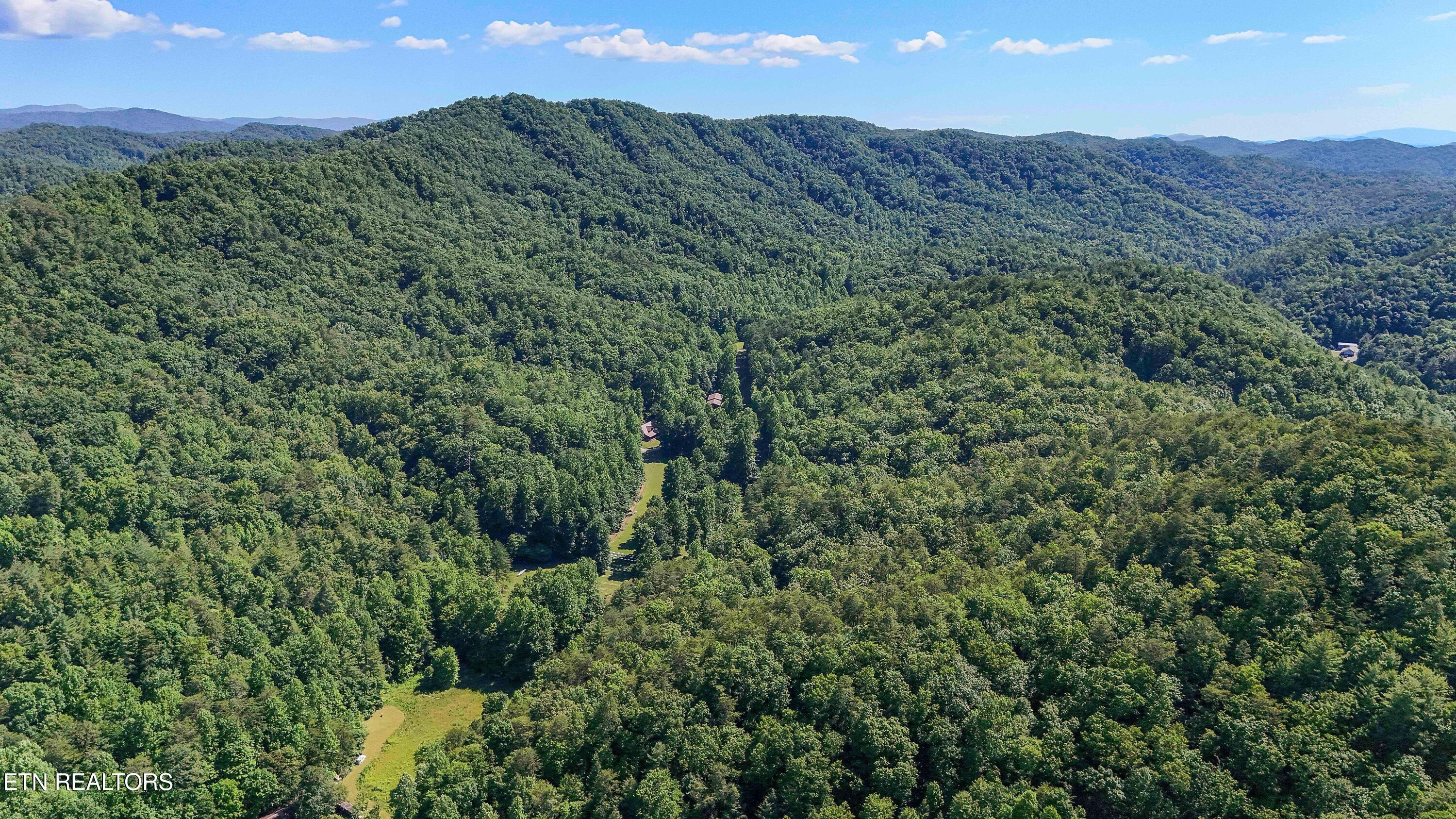 1151 Chestnut Valley Road Vonore, TN 37885 - Photo 43 of 57 DJI_20260604165621_0024_D