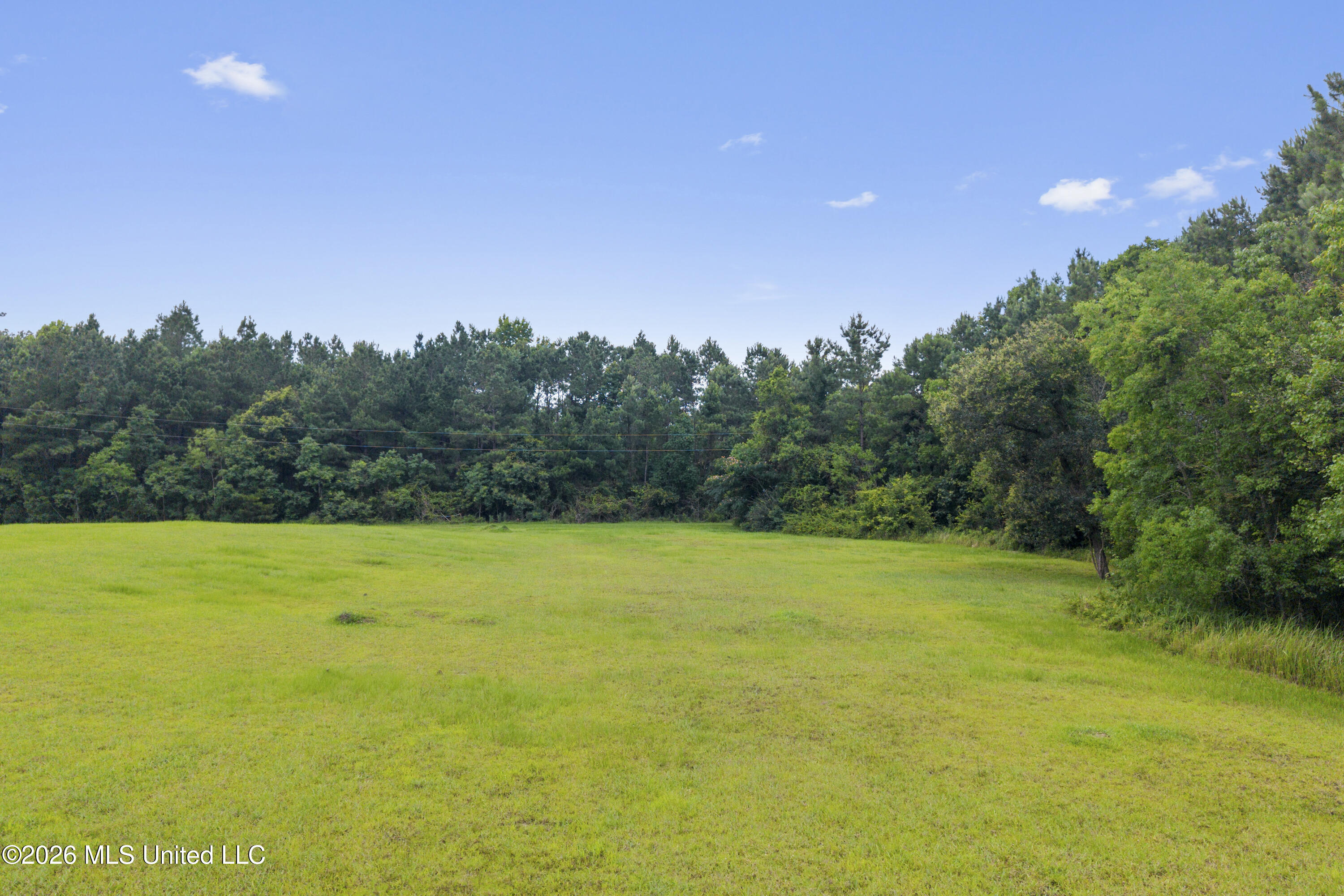 1441 Blue Meadow Road Bay St. Louis, MS 39520 - Photo 12 of 29 00010