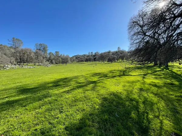 a view of an ocean from a yard