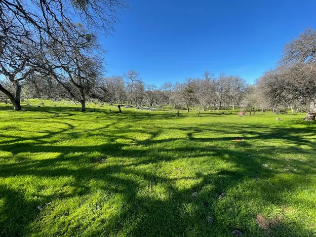 a big yard with lots of green space