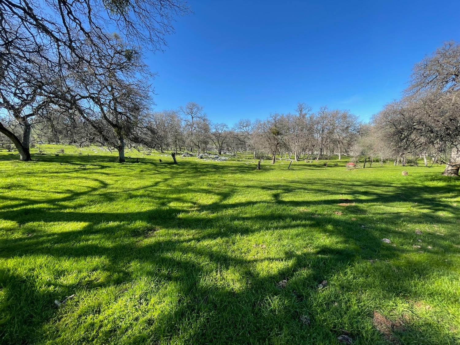 0 Airola Road Angels Camp, CA 95251 - Photo 13 of 29 a big yard with lots of green space
