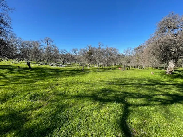 a large yard with lots of green space and trees in the background