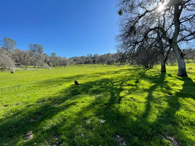 a view of an outdoor space and a yard