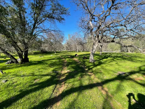 a backyard of a house with a yard and large trees