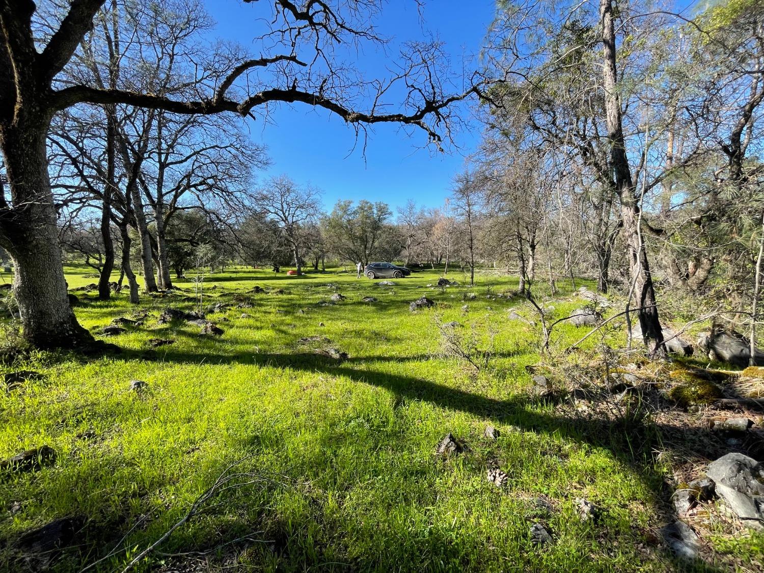 0 Airola Road Angels Camp, CA 95251 - Photo 18 of 29 a view of a golf course with a lake