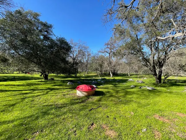 a view of a park with large trees