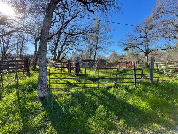 a view of a park with an trees