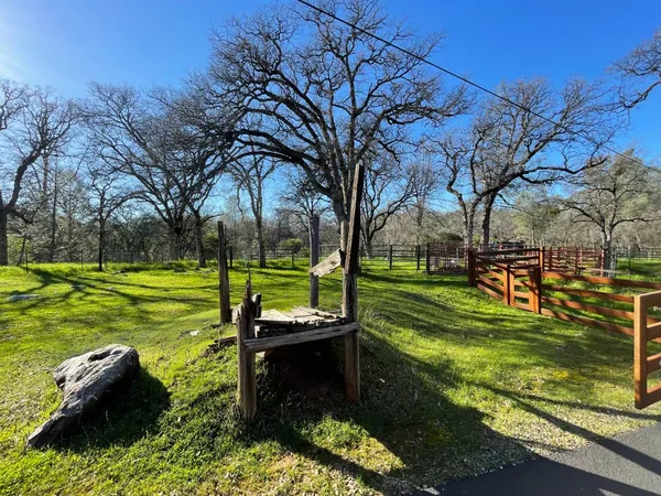 a view of a park with large trees