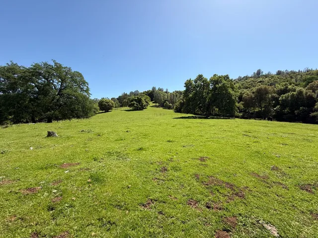 a view of field with trees in the background