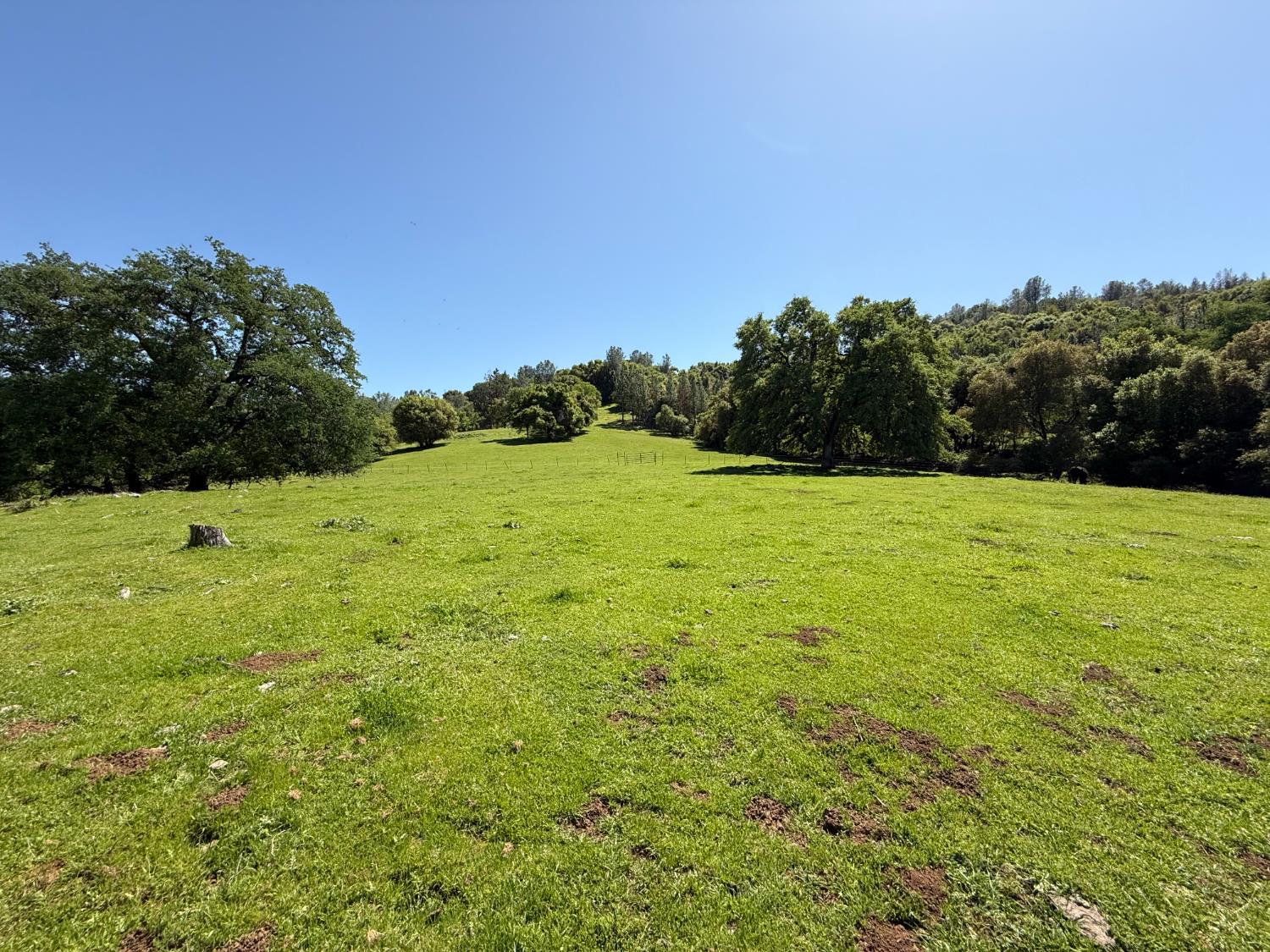 0 Airola Road Angels Camp, CA 95251 - Photo 24 of 29 a view of field with trees in the background