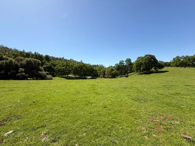 a view of a field with an trees in the background