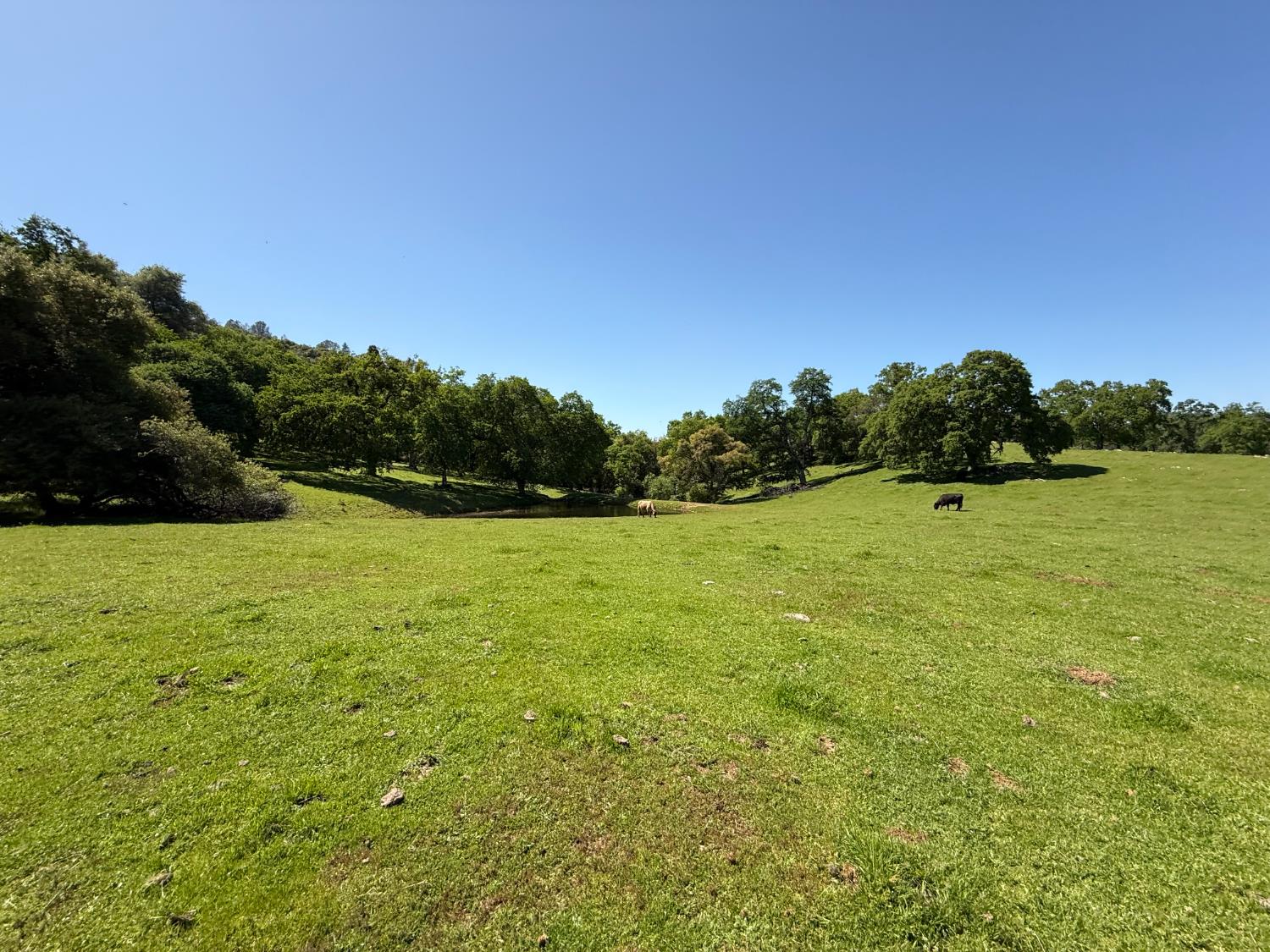 0 Airola Road Angels Camp, CA 95251 - Photo 27 of 29 a view of a field with an ocean view