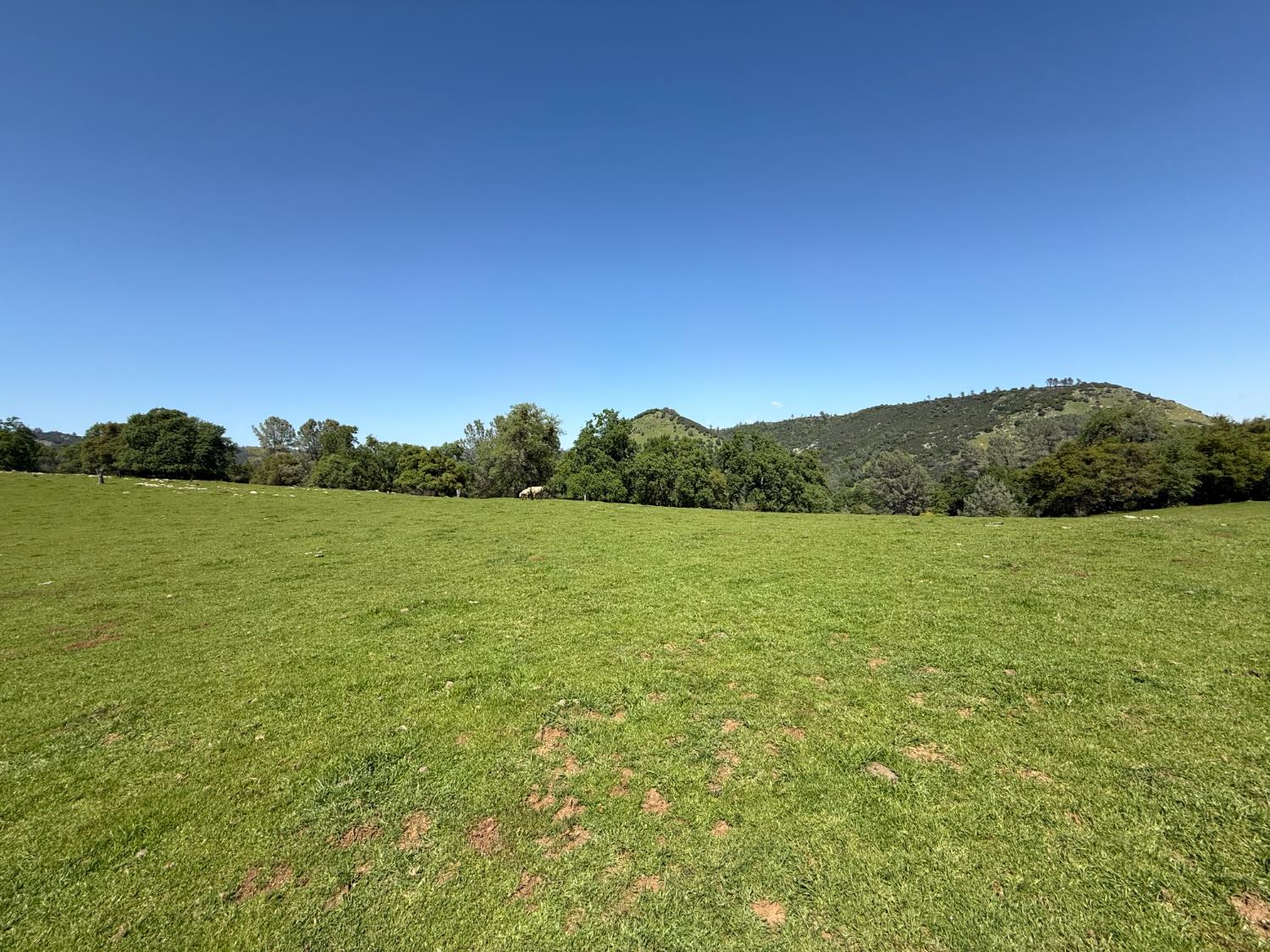 0 Airola Road Angels Camp, CA 95251 - Photo 28 of 29 a view of lake and mountain