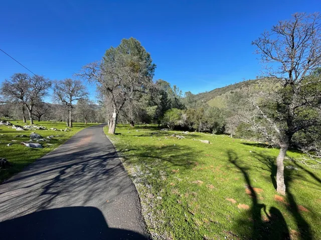 a view of a yard with large trees